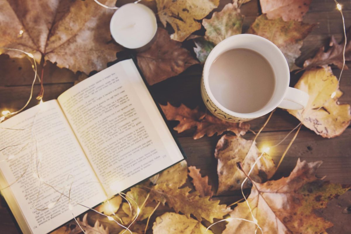 Photo by carmela dinardo via Pexels Creative Commons