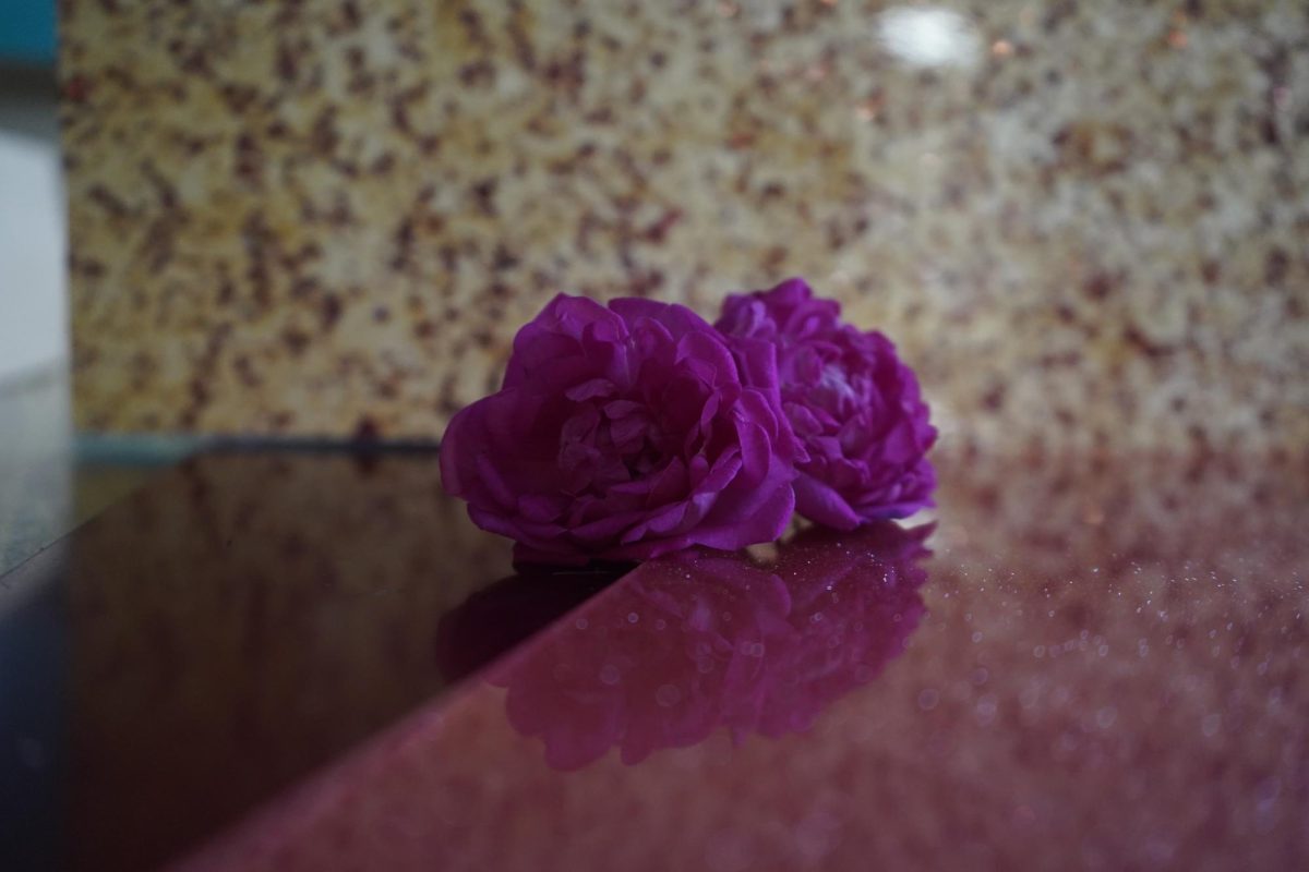 More than flowers and candy, Valentine's Day is about showing love to your favorite people.